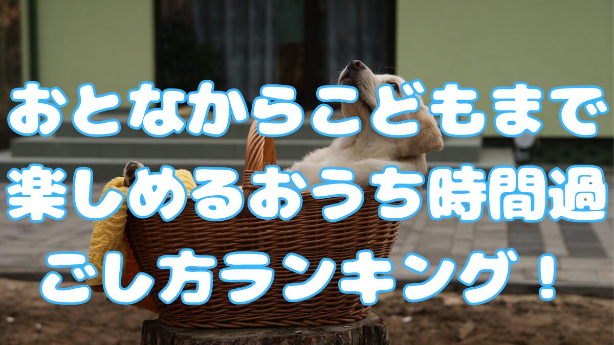 おとなからこどもまで楽しめるおうち時間過ごし方ランキング！の記事のアイキャッチ画像